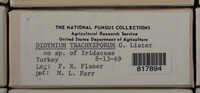 Image Associated With the Occurence
